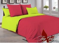 Постельное белье поплин TAG - P-1661 (0550), семейный